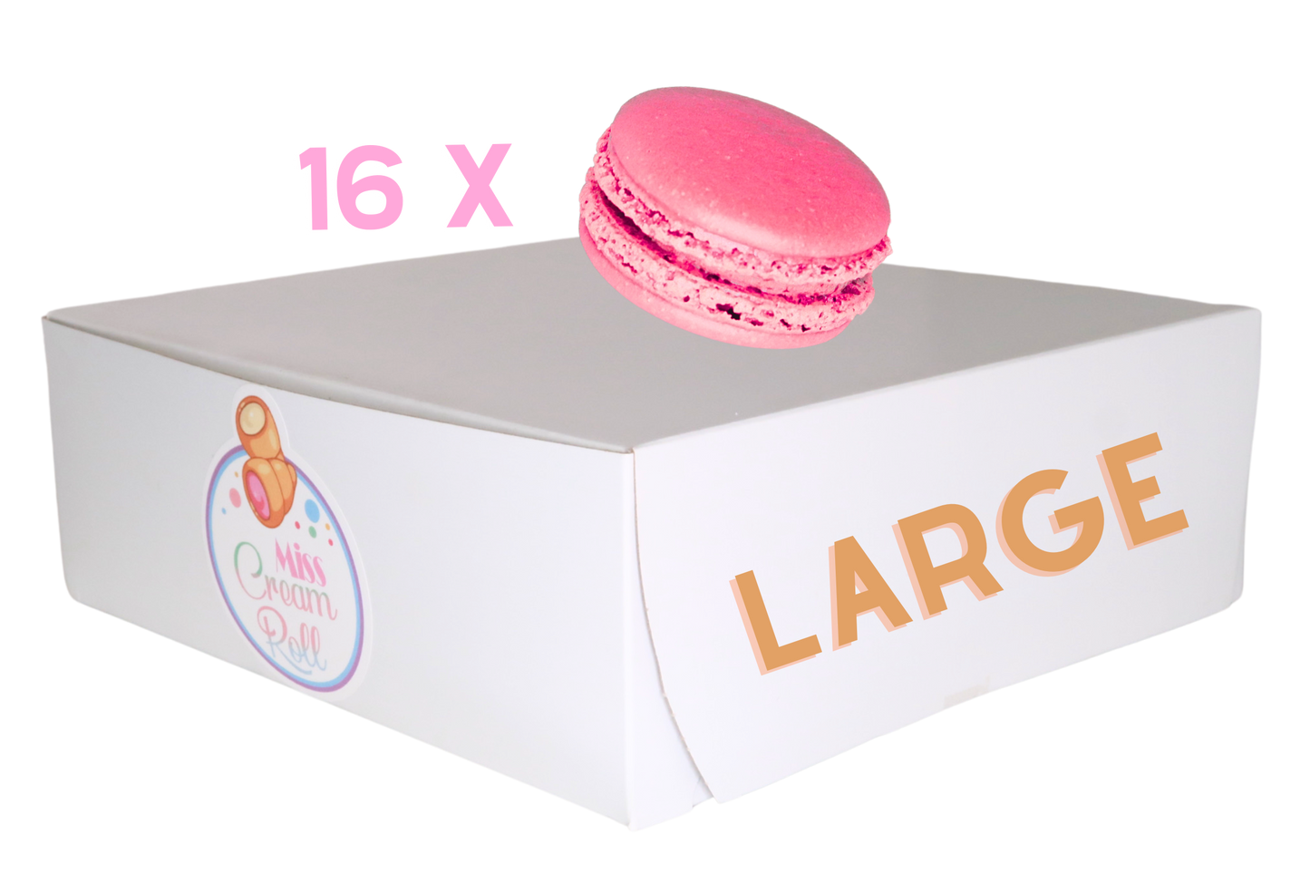 Large Box (Macaron)